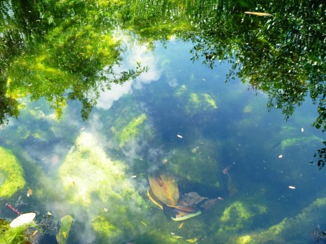 cenote cristalino 2