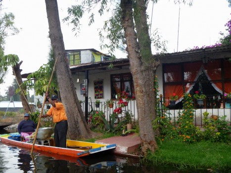 Chinampa w Xochimilco