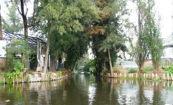 Chinampas w Xochimilco