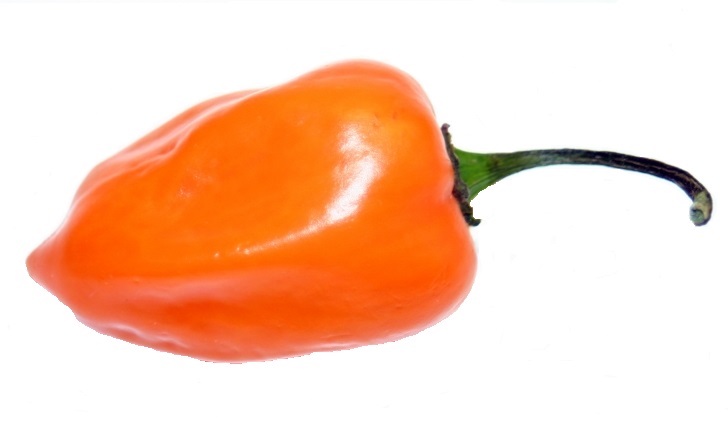 orange chili habanero