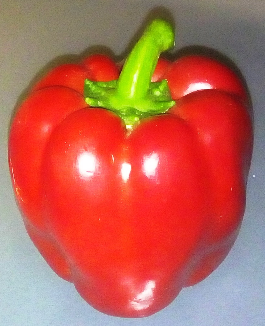 pimiento morrón